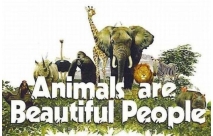 Animals Are Beautiful People (1974)